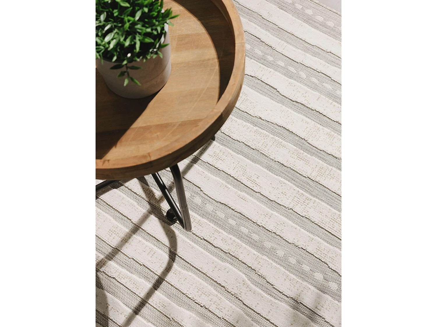 Tapis d'extérieur & intérieur Flora Beige 200x300 cm