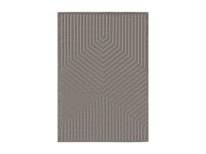 Tapis Leo Gris clair 300x400 cm