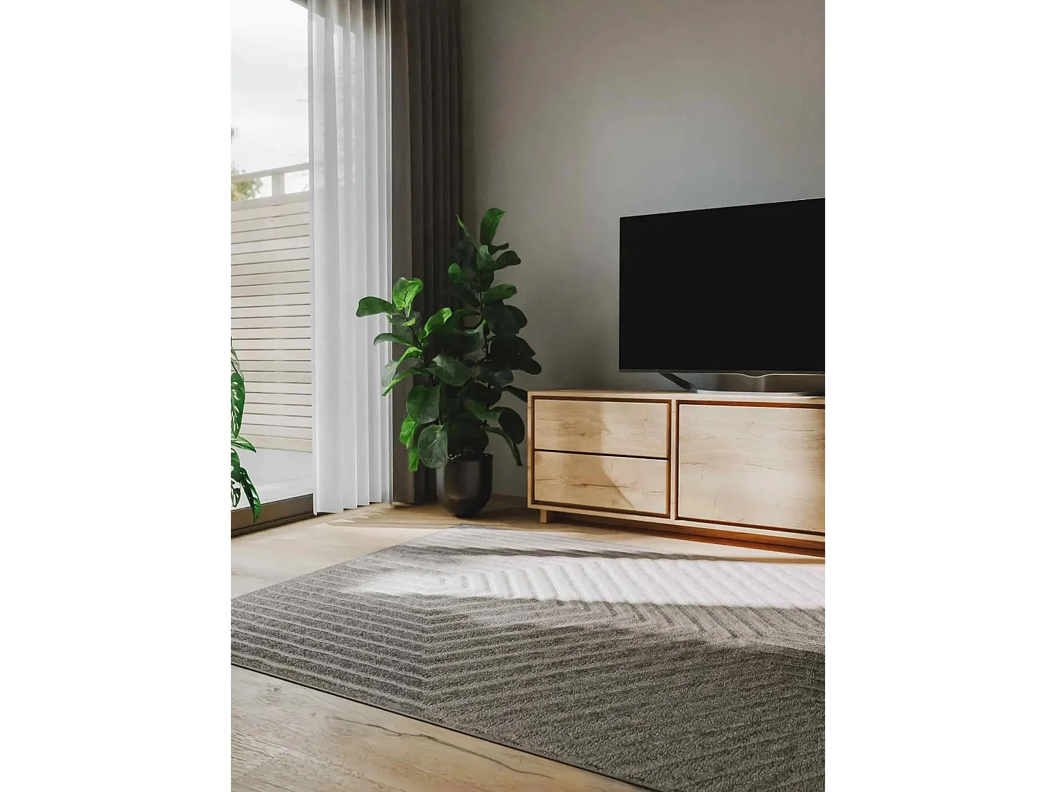 Tapis Leo Gris clair 240x340 cm