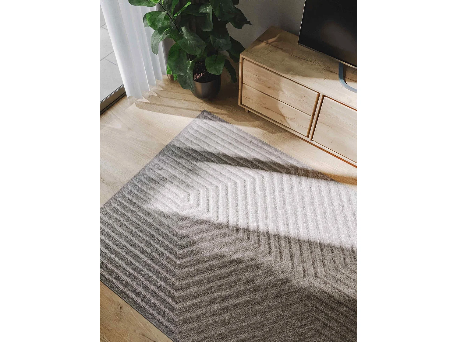 Tapis Leo Gris clair 160x230 cm