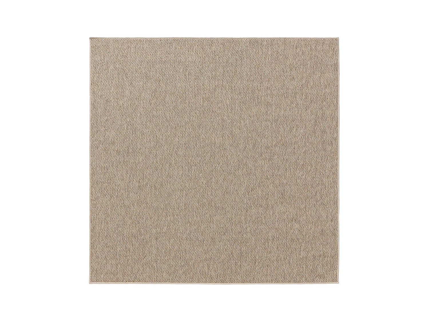 Tapis d'extérieur & intérieur Iowa Taupe 300x300 cm