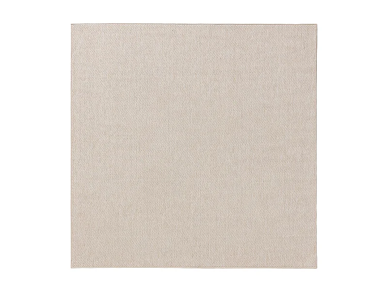 Tapis d'extérieur & intérieur Iowa Crème 300x300 cm
