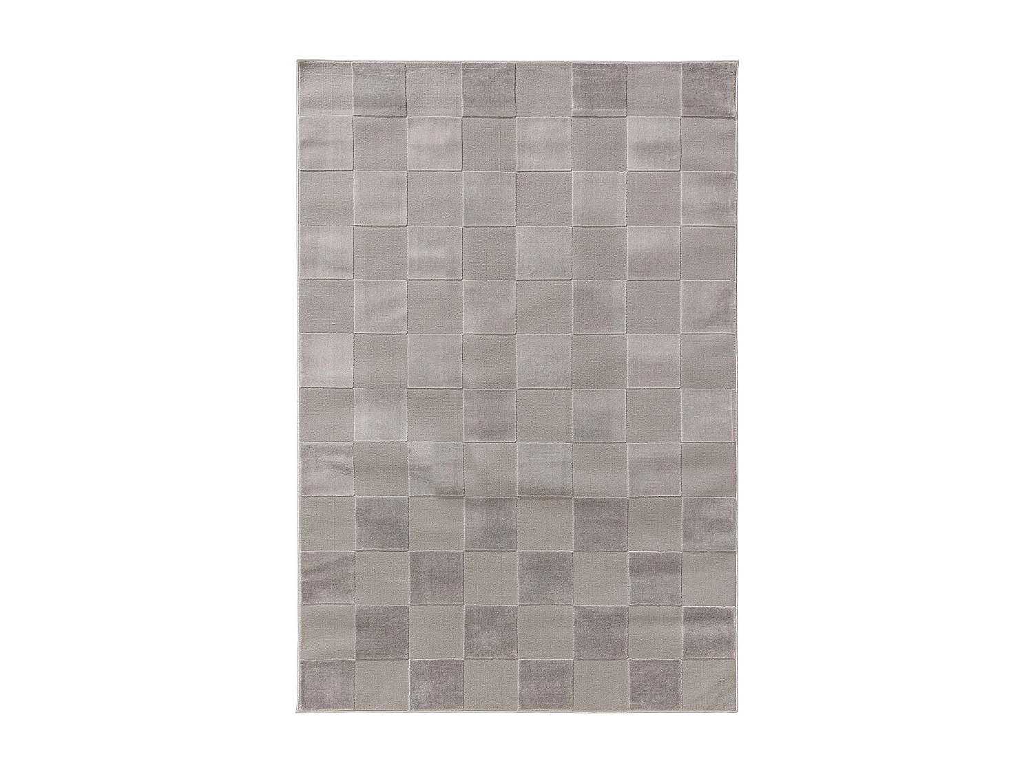 Tapis Claire Gris 200x300 cm