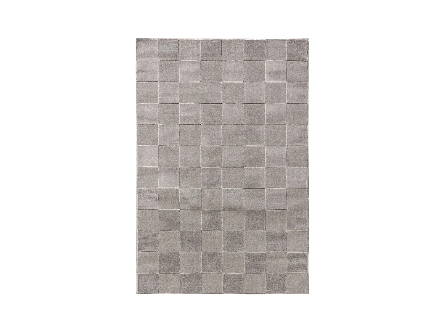 Tapis Claire Gris 200x300 cm