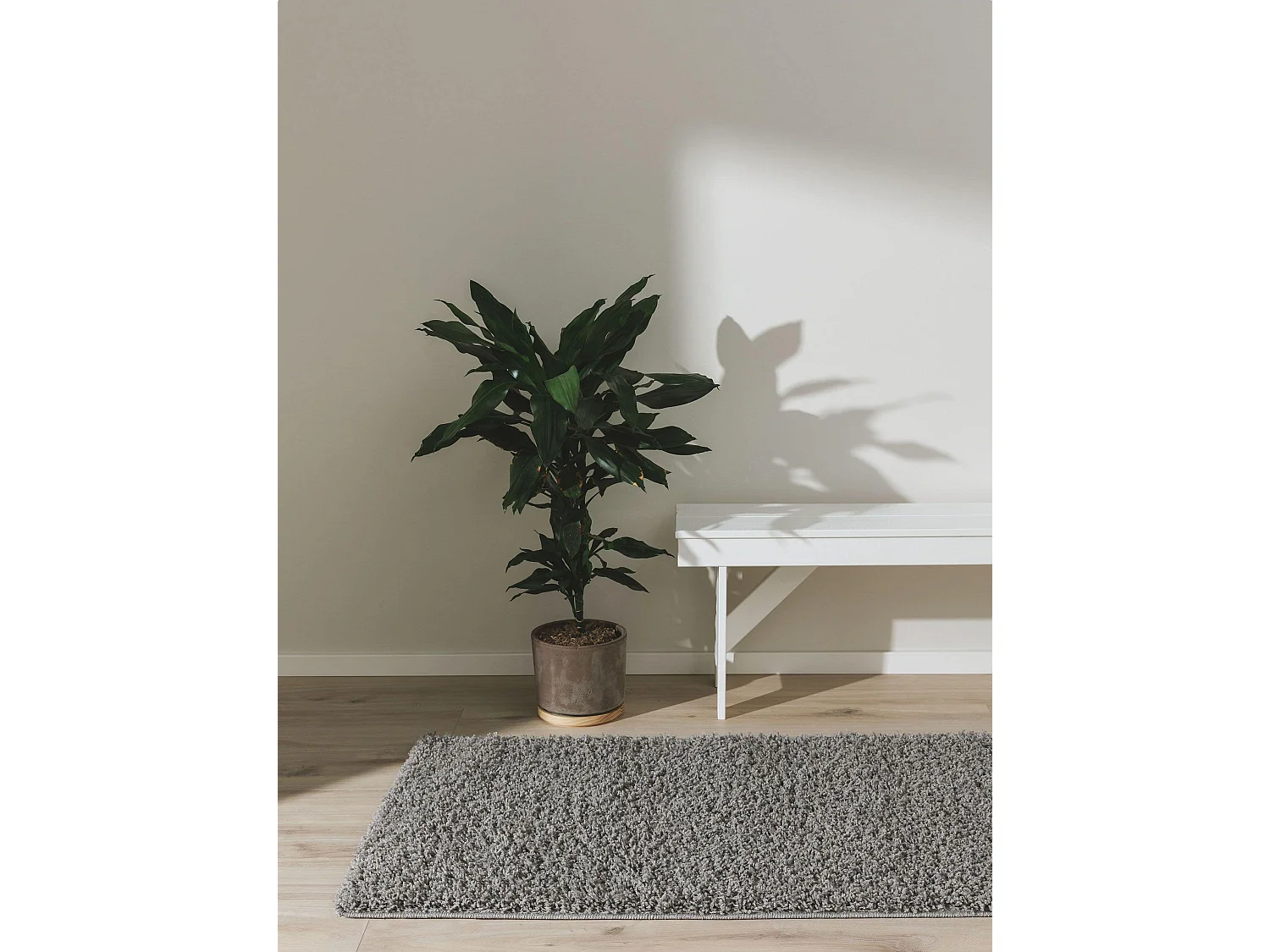 Tapis à poils longs Soho Gris clair 70x200 cm