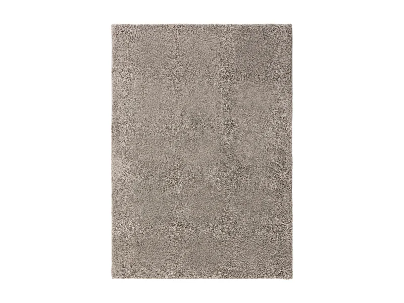 Tapis à poils longs Soho Gris clair 300x400 cm