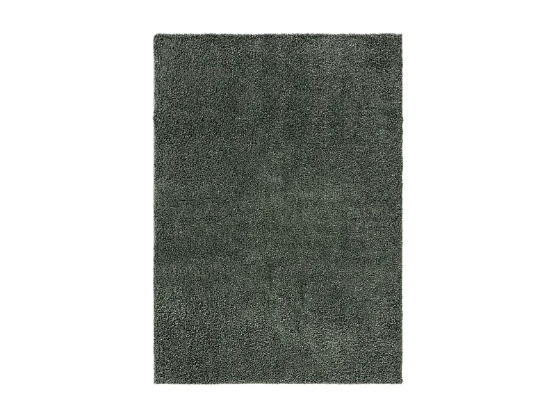 Tapis à poils longs Soho Vert clair 133x190 cm