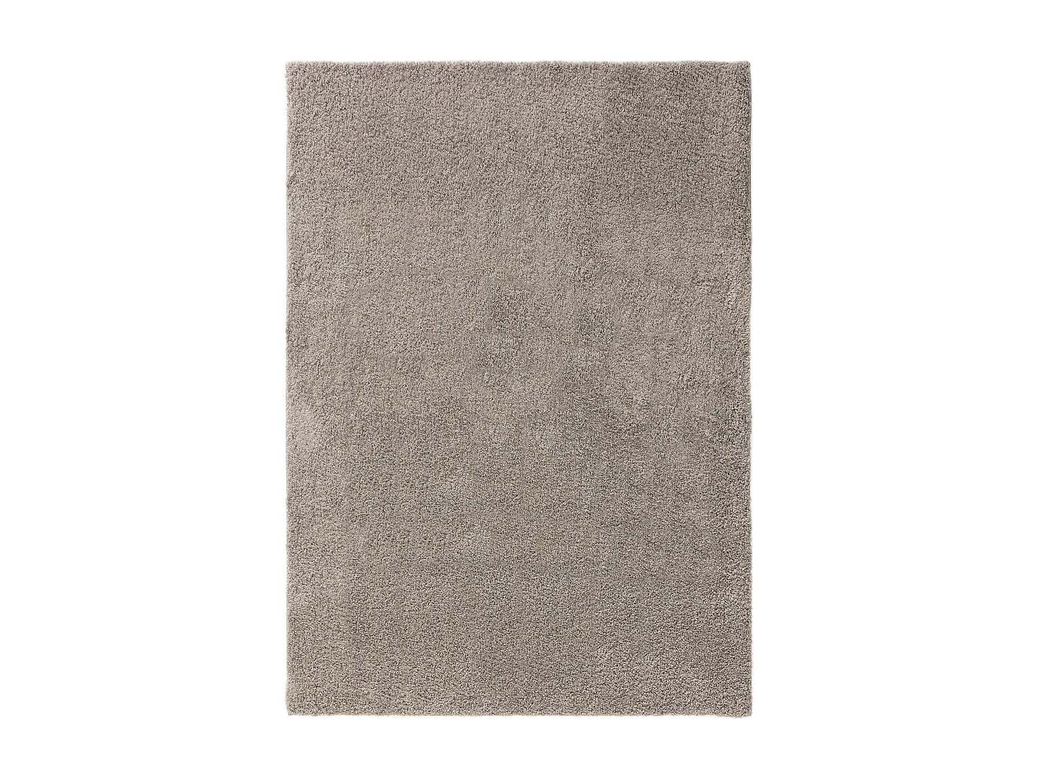 Tapis à poils longs Soho Gris clair 240x340 cm