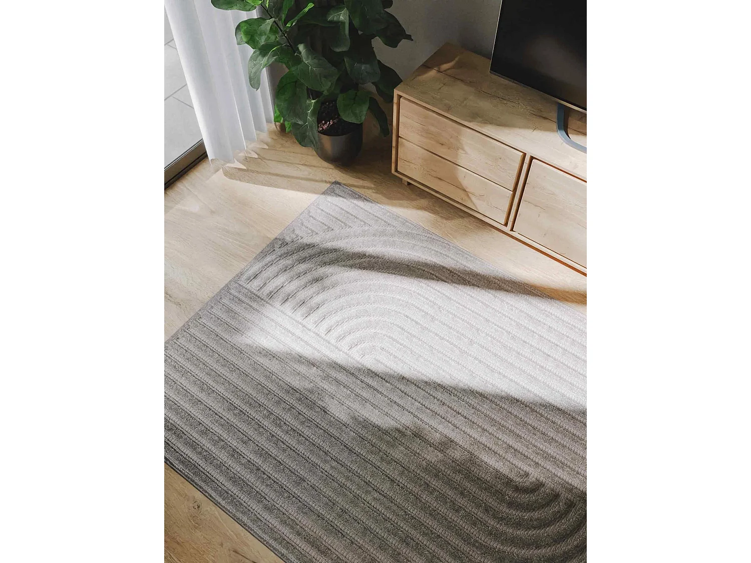 Tapis Leo Gris clair 300x400 cm