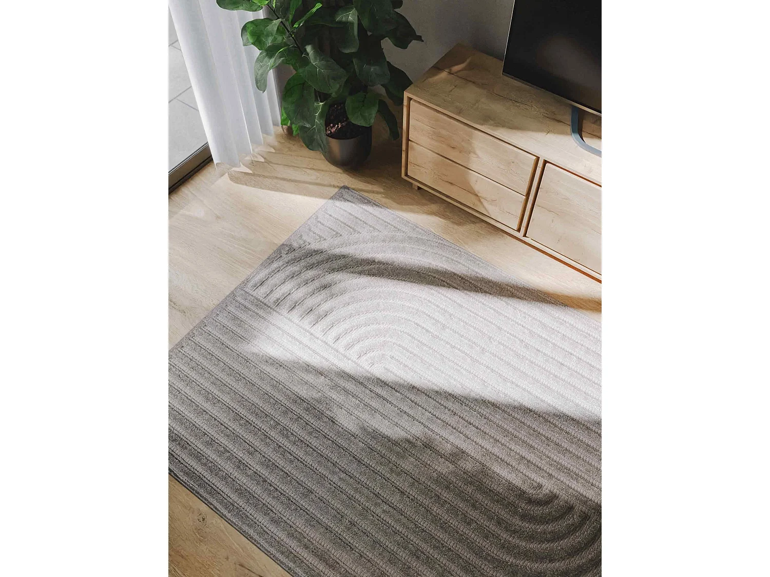 Tapis Leo Gris clair 200x290 cm