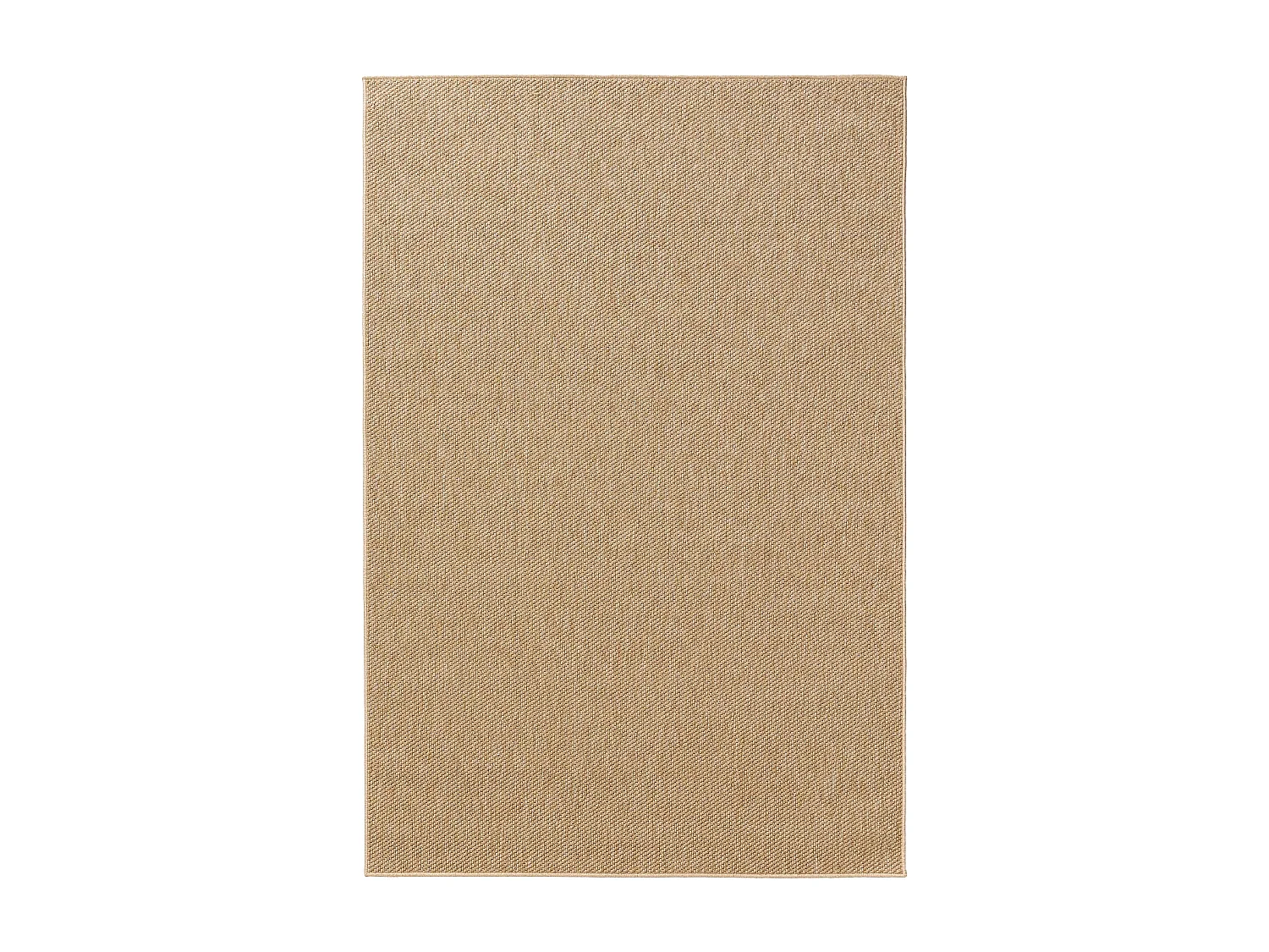 Tapis d'extérieur & intérieur Iowa Beige 200x300 cm