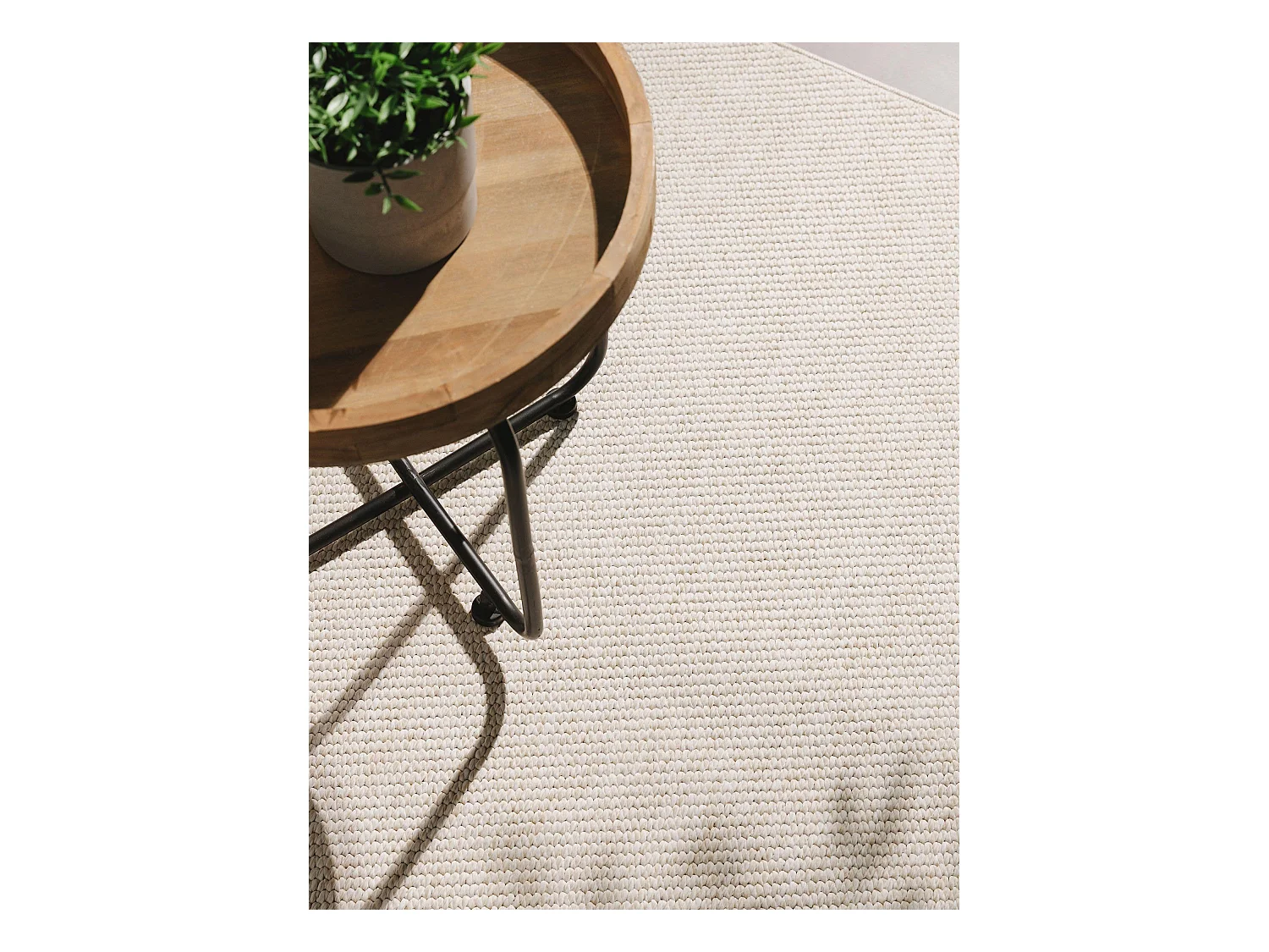 Tapis d'extérieur & intérieur Iowa Crème 300x400 cm