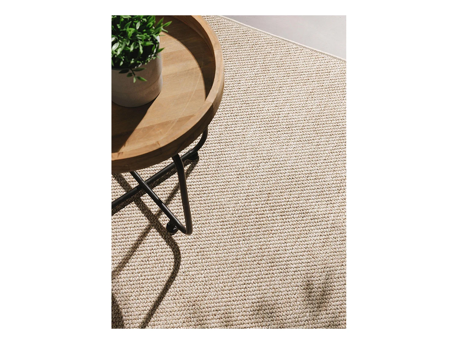 Tapis d'extérieur & intérieur Iowa Taupe 160x230 cm