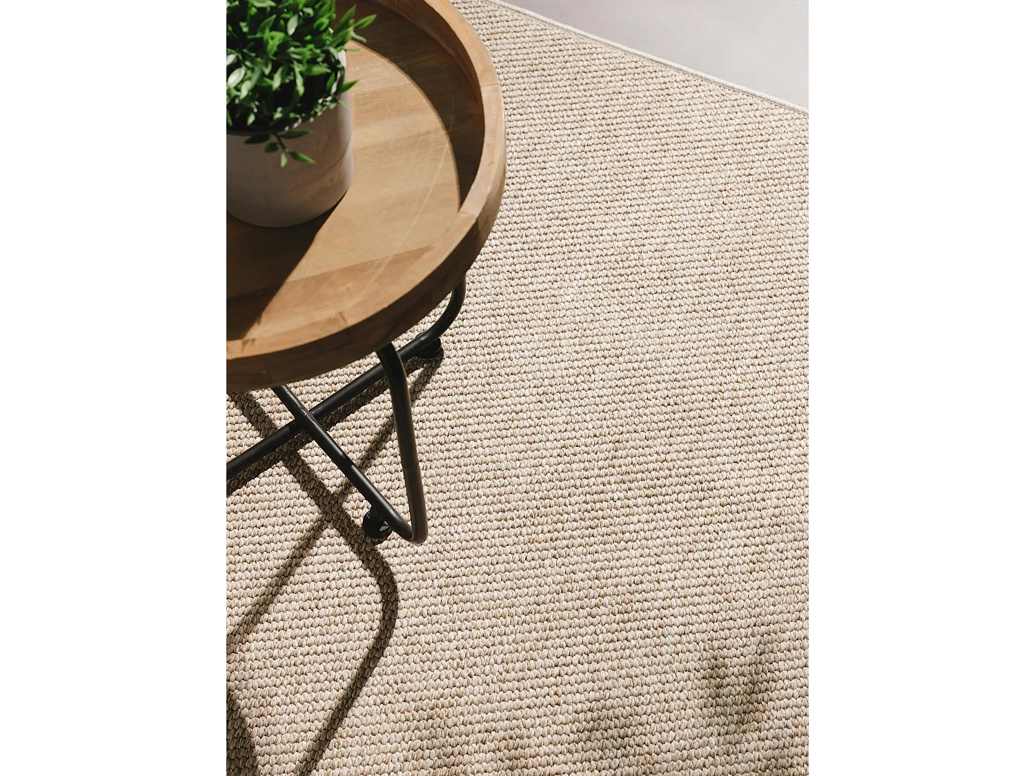 Tapis d'extérieur & intérieur Iowa Taupe 120x170 cm