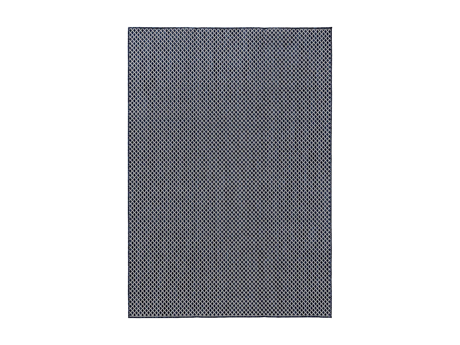Tapis d'extérieur & intérieur Lou Bleu 240x350 cm