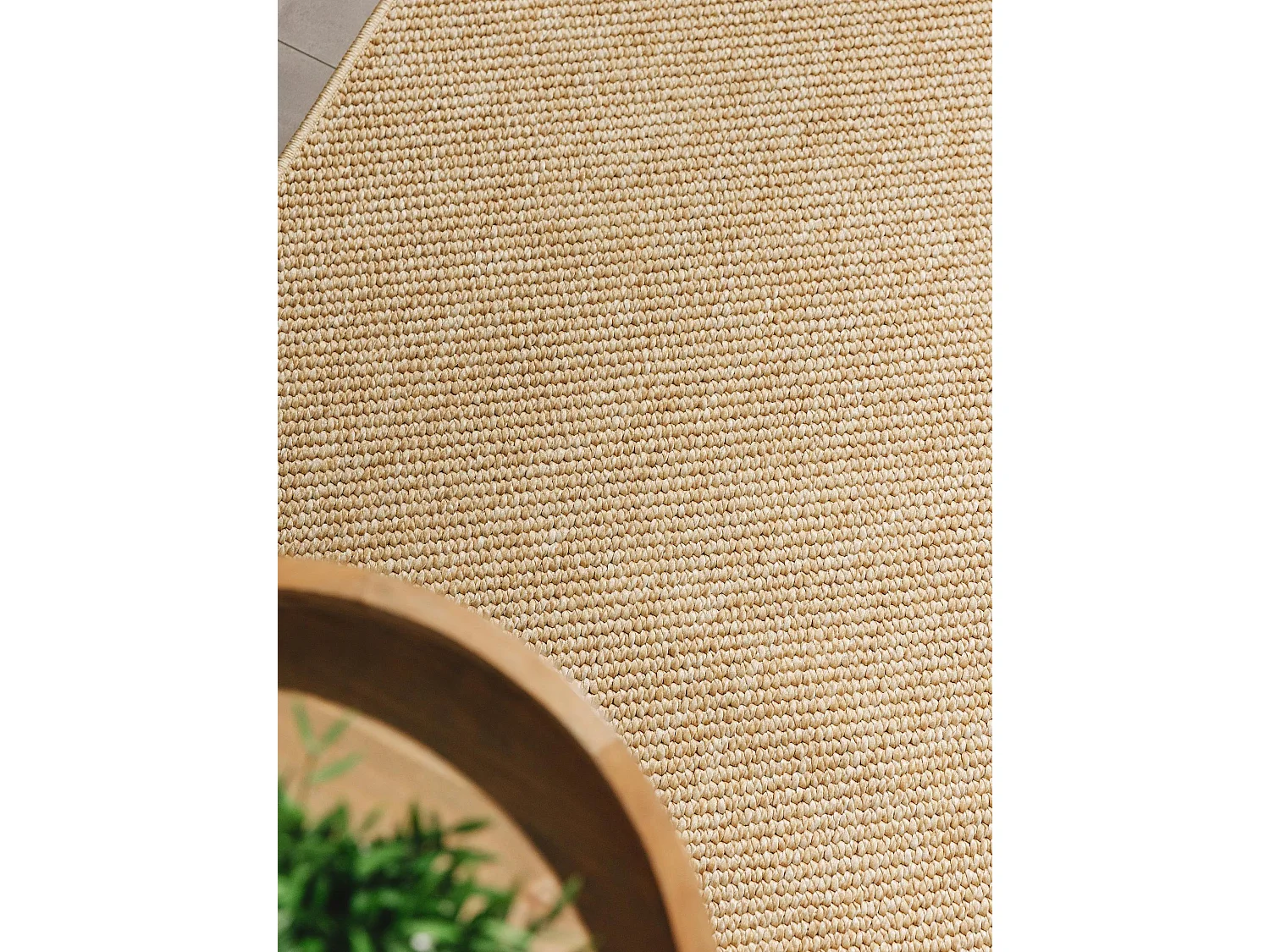 Tapis d'extérieur & intérieur Iowa Beige 80x300 cm