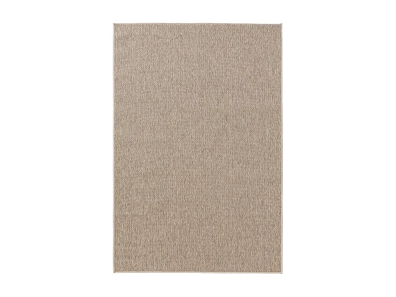 Tapis d'extérieur & intérieur Iowa Taupe 300x400 cm