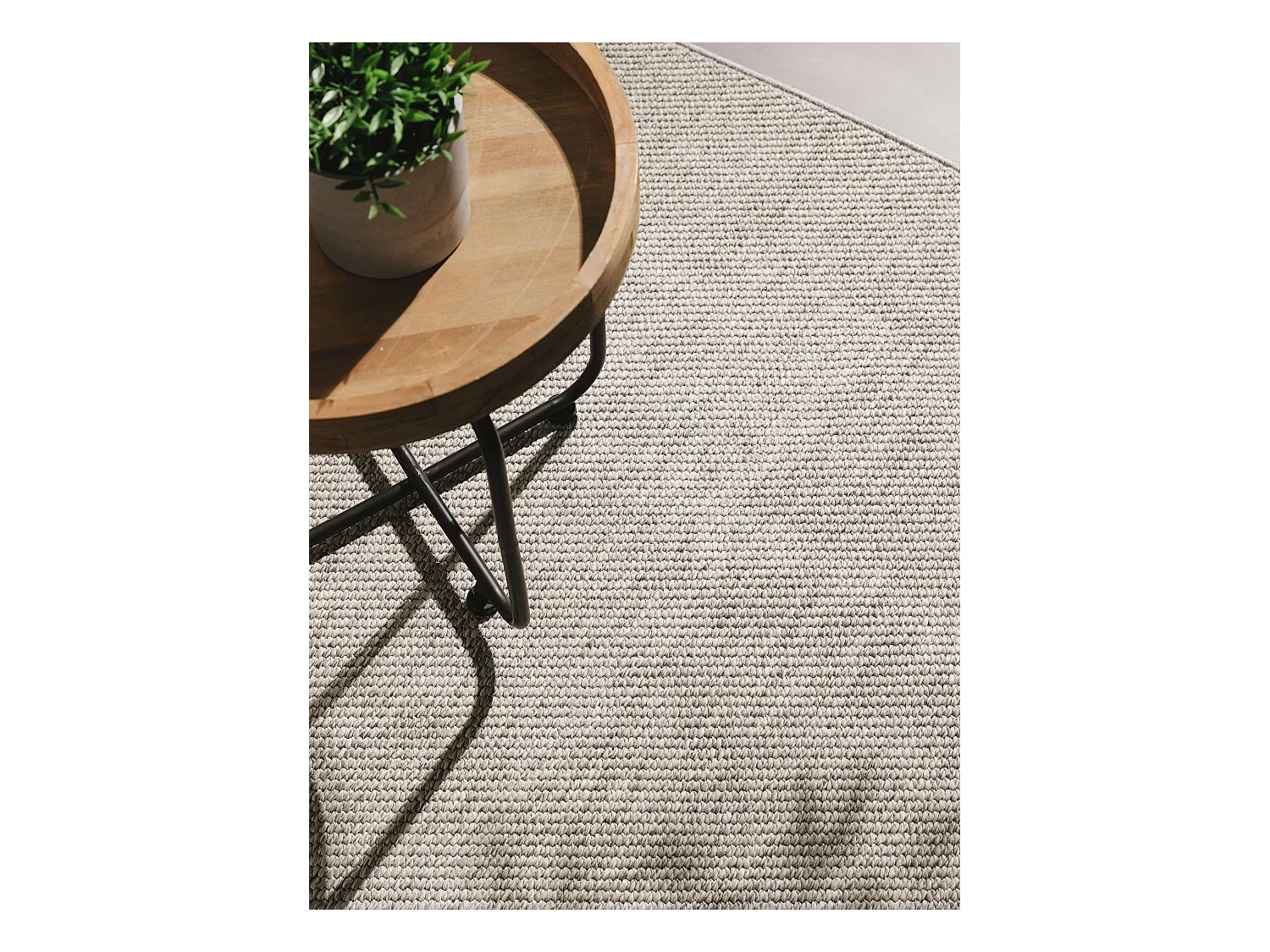 Tapis d'extérieur & intérieur Iowa Gris clair 300x400 cm