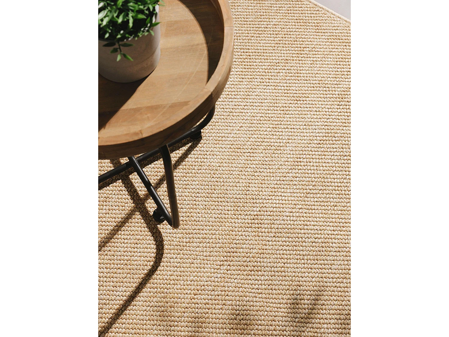 Tapis d'extérieur & intérieur Iowa Beige 80x150 cm
