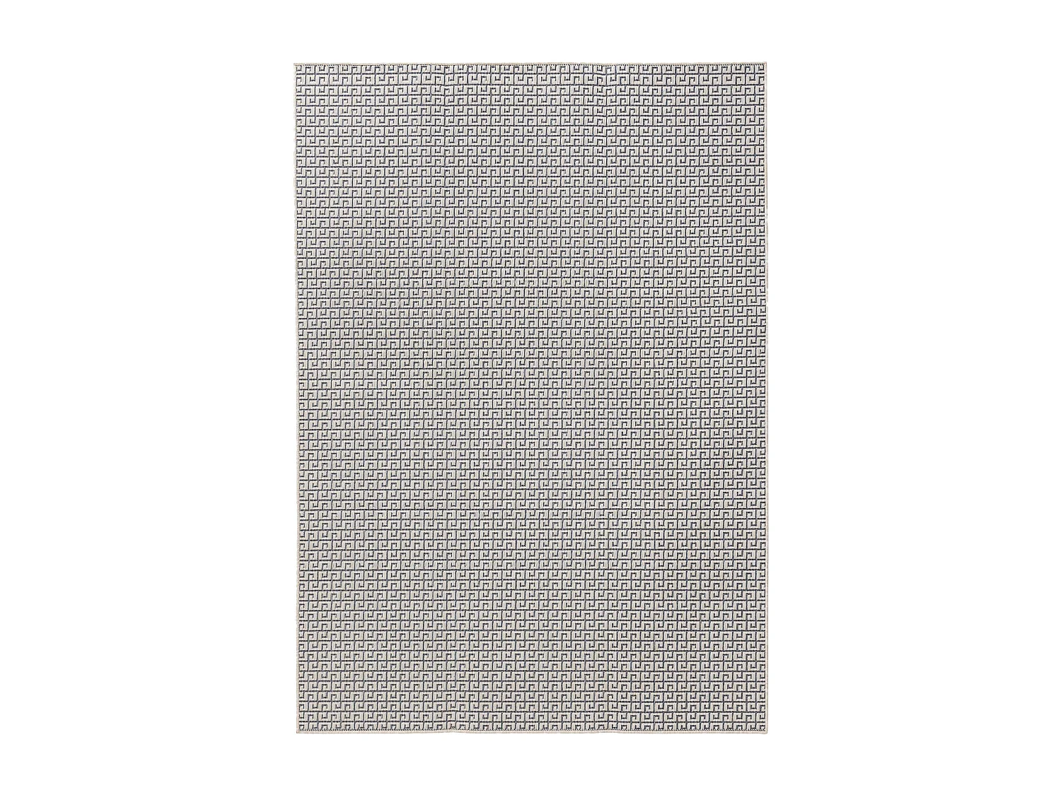 Tapis d'extérieur & intérieur Lou Blanc 200x300 cm