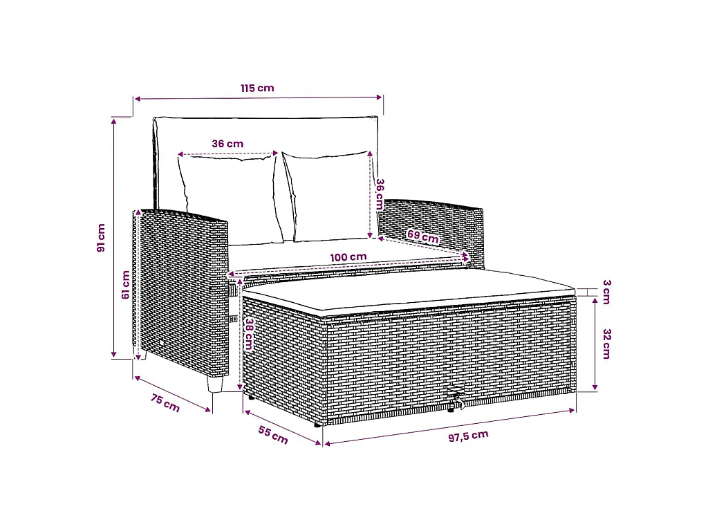 Divano Giardino con Cuscini 2 Posti Grigio in Polyrattan Acacia