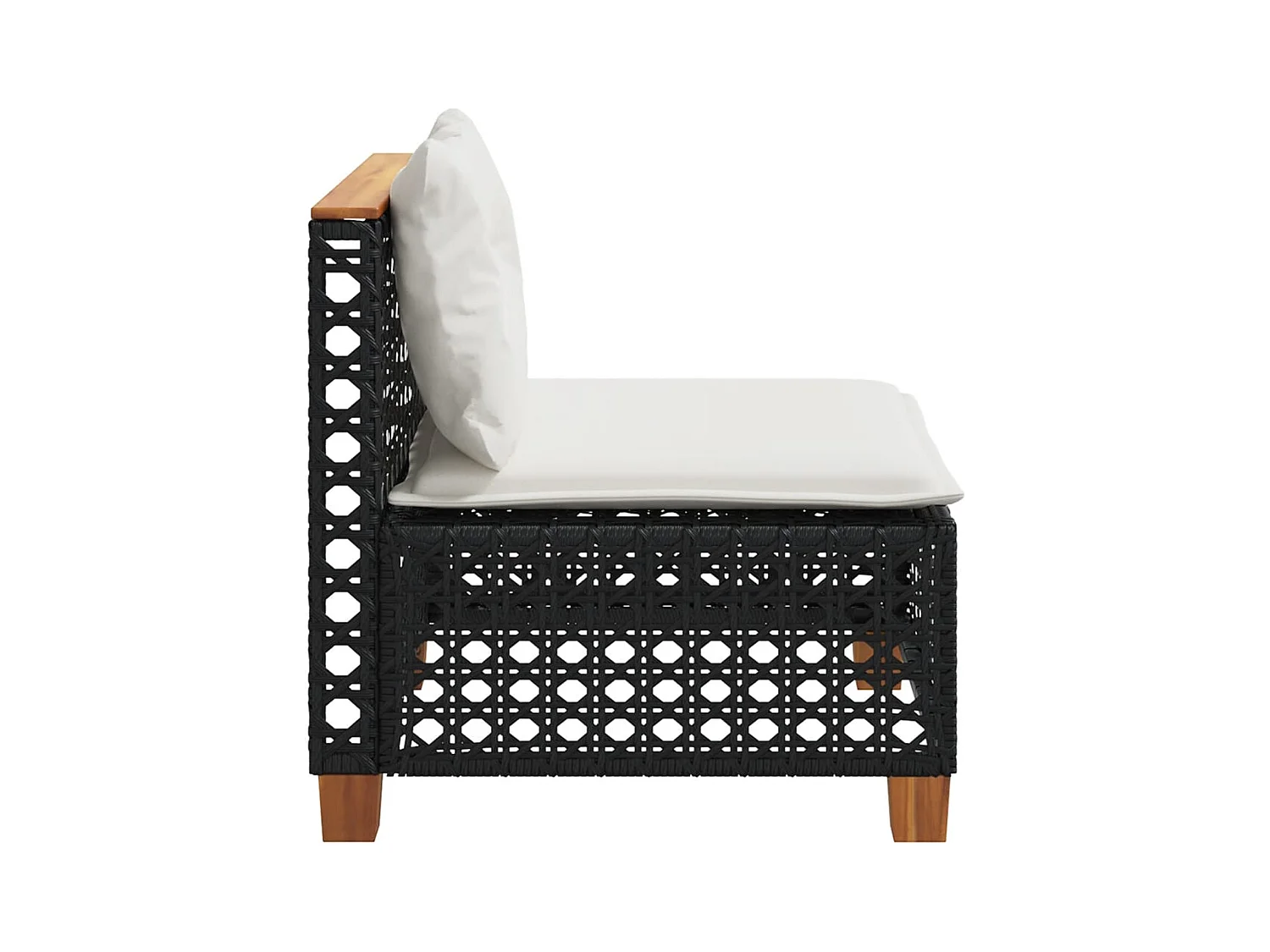 Tuinbank zonder armleuning met kussens poly rattan zwart