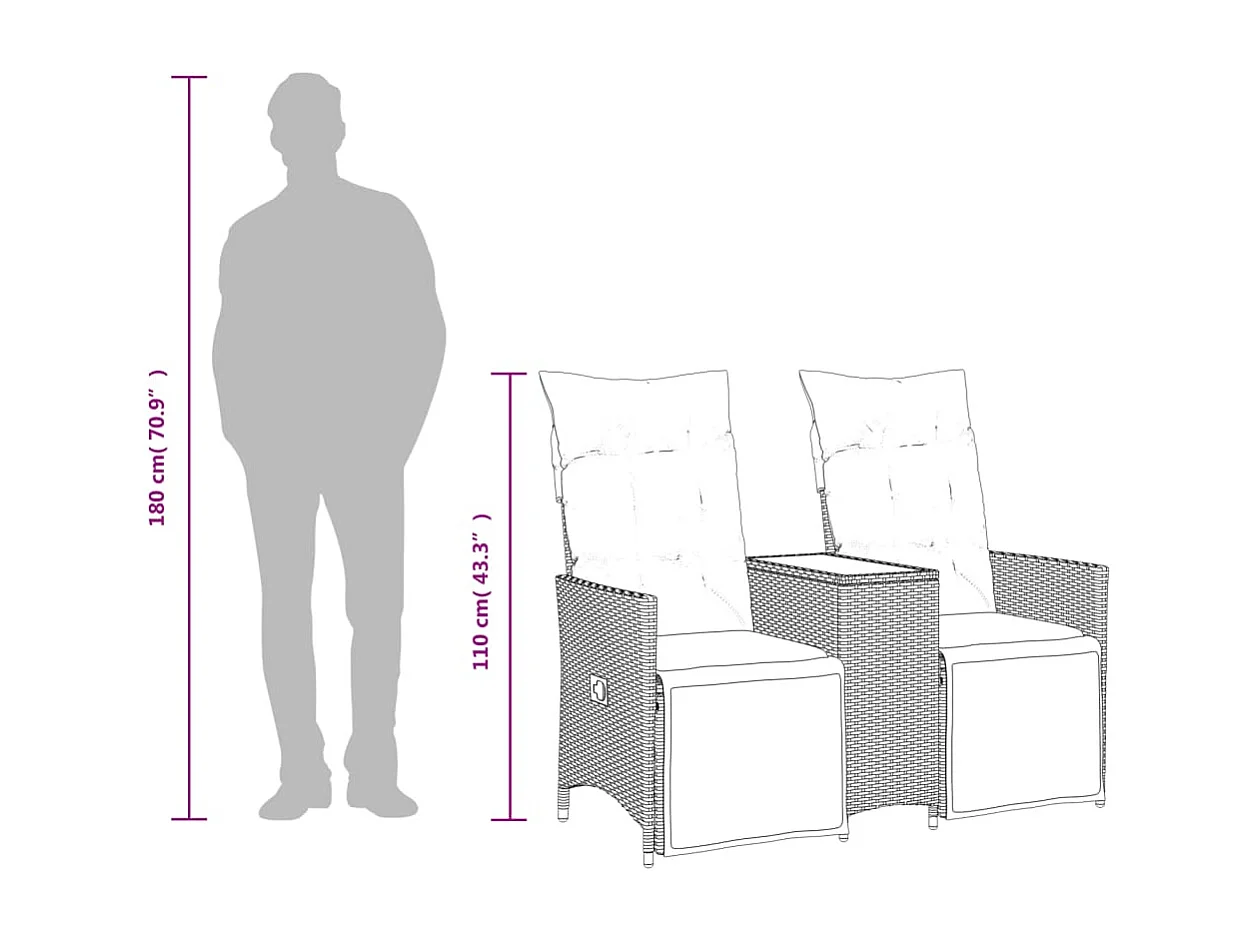 Divano Giardino Reclinabile 2 Posti Tavolino Grigio Polyrattan