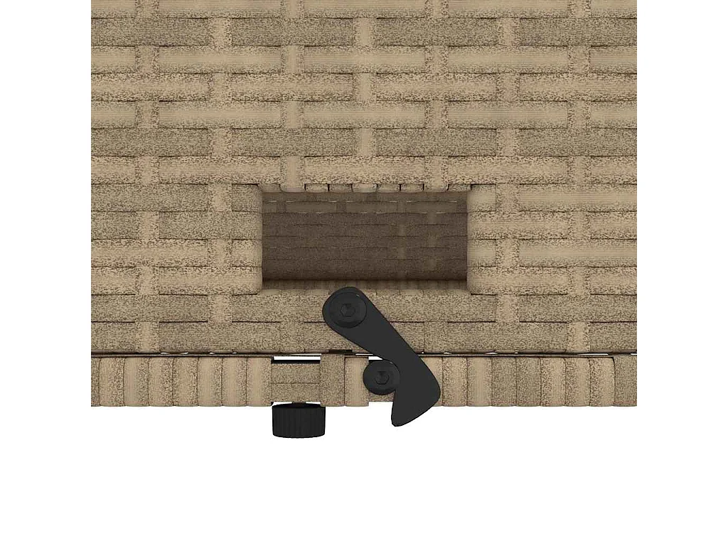 Tuinbank 2-zits met kussens poly rattan en acaciahout beige