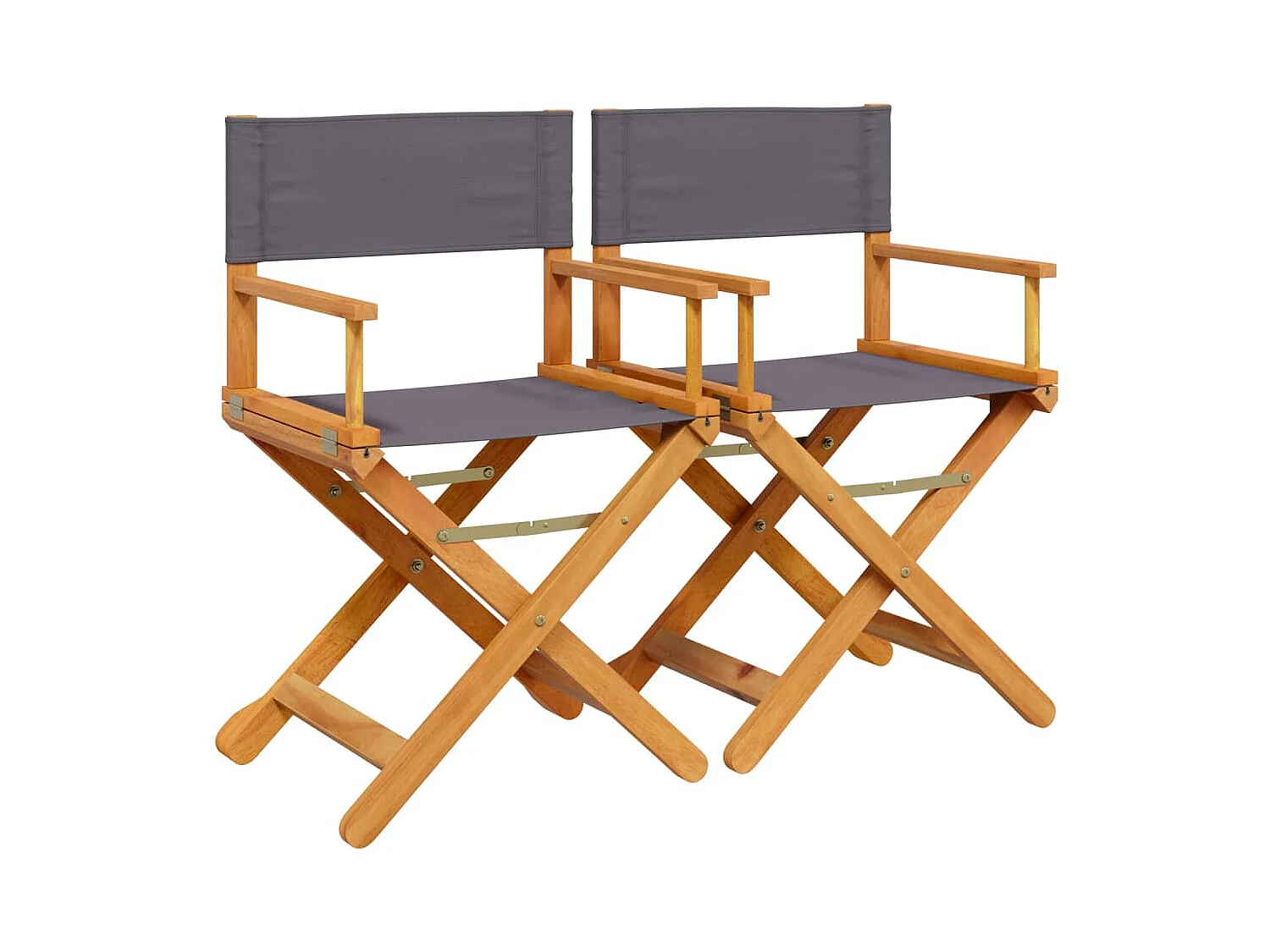 Cadeiras dobráveis para diretor 2 pcs tecido cinzento-escuro