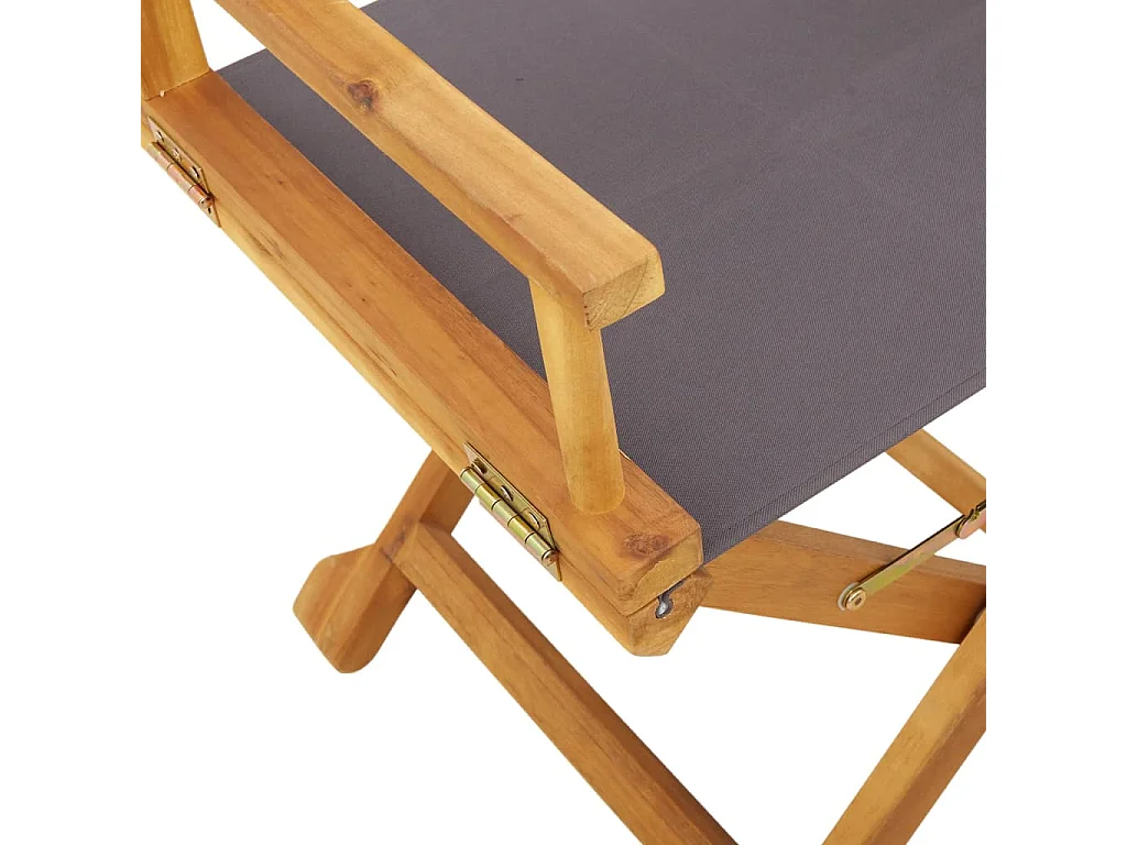 Cadeiras dobráveis para diretor 2 pcs tecido cinzento-escuro