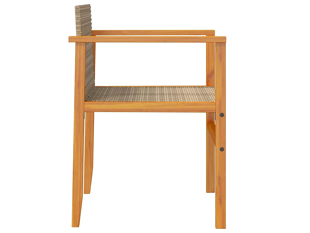 Chaises de jardin coussins lot de 2 beige résine tressée bois