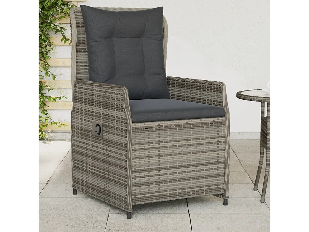 Chaises inclinables de jardin lot de 2 gris résine tressée