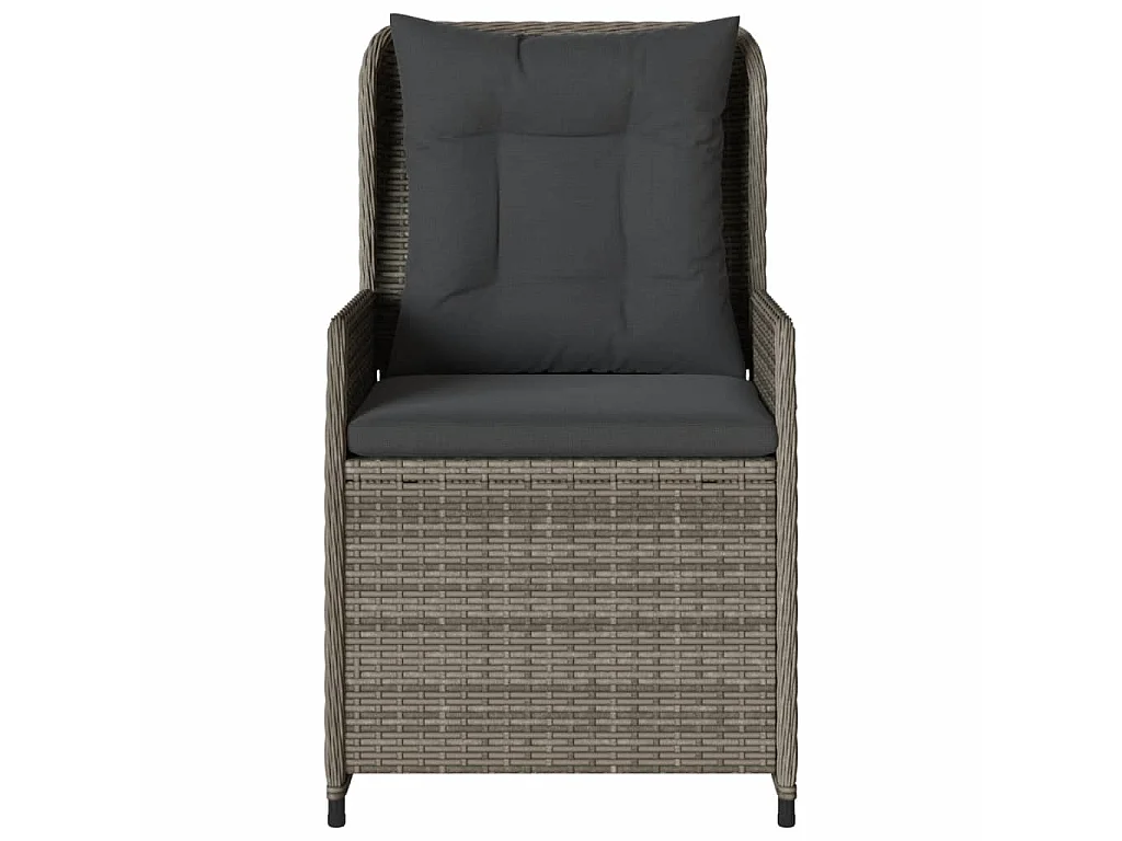 Chaises inclinables de jardin lot de 2 gris résine tressée