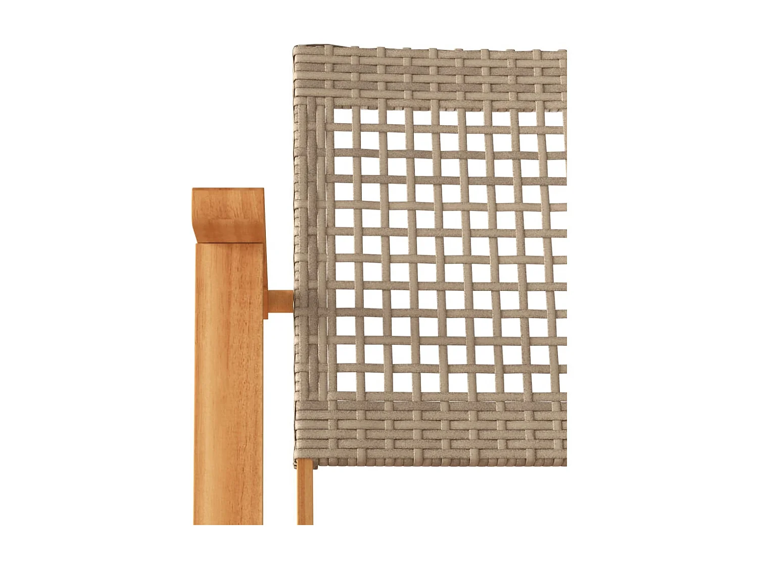 Chaises de jardin lot de 2 beige résine tressée bois d’acacia