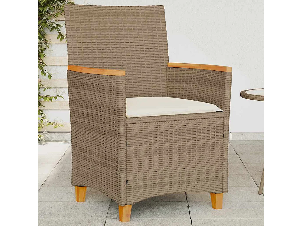 Chaises de jardin coussins lot de 2 beige résine tressée bois