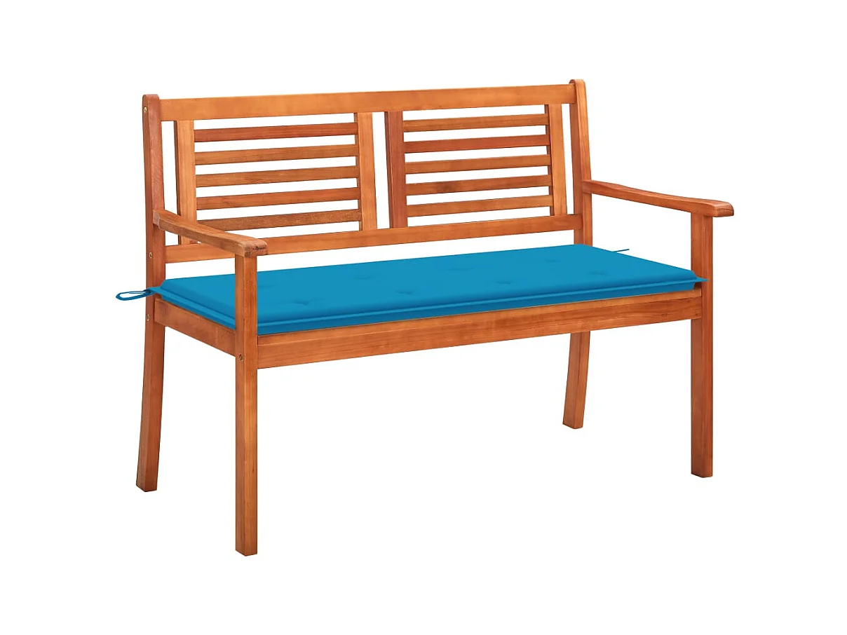 Tuinbank 2-zits met kussen 120 cm massief eucalyptushout
