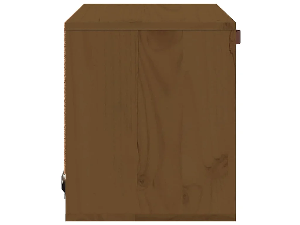 Wandkast 40x30x35 cm massief grenenhout honingbruin