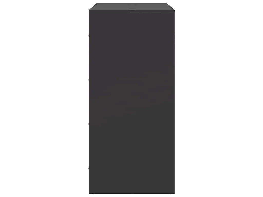 Dressoir 67x39x83 cm staal zwart