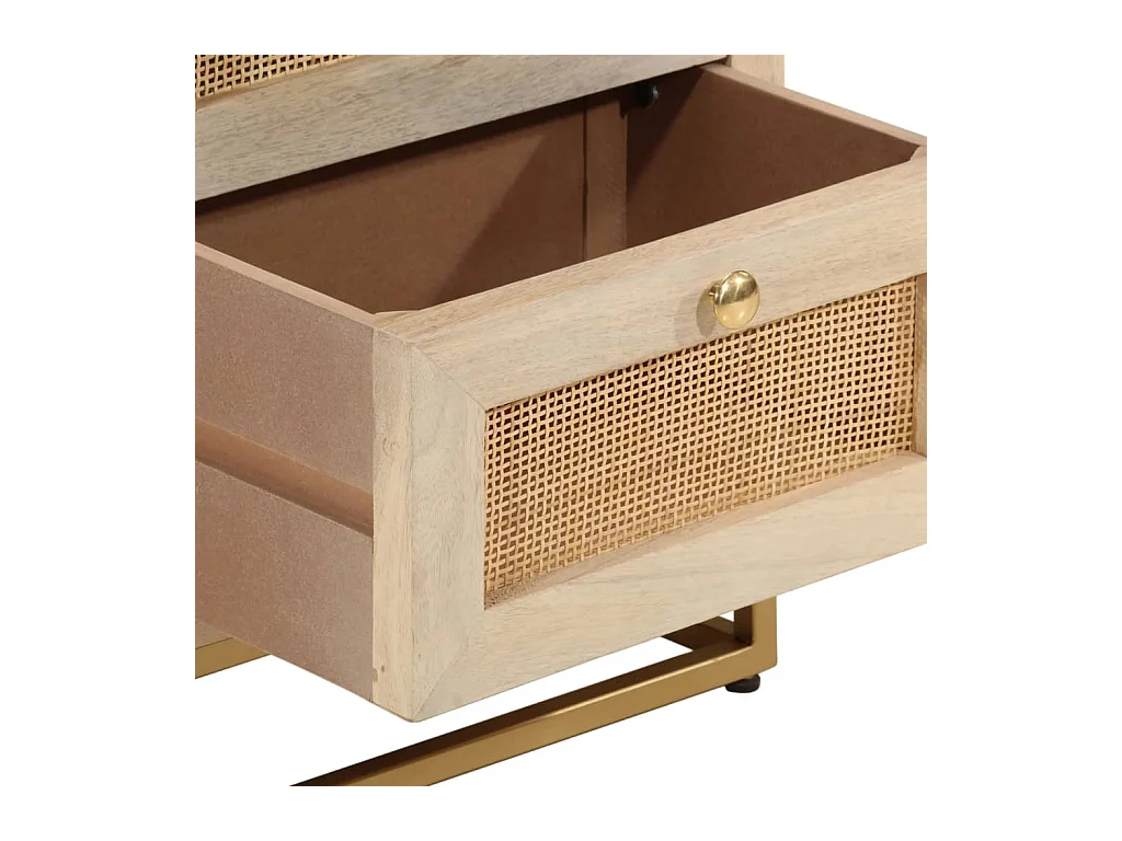 Comodino 40x30x50 cm in Legno Massello di Mango e Ferro