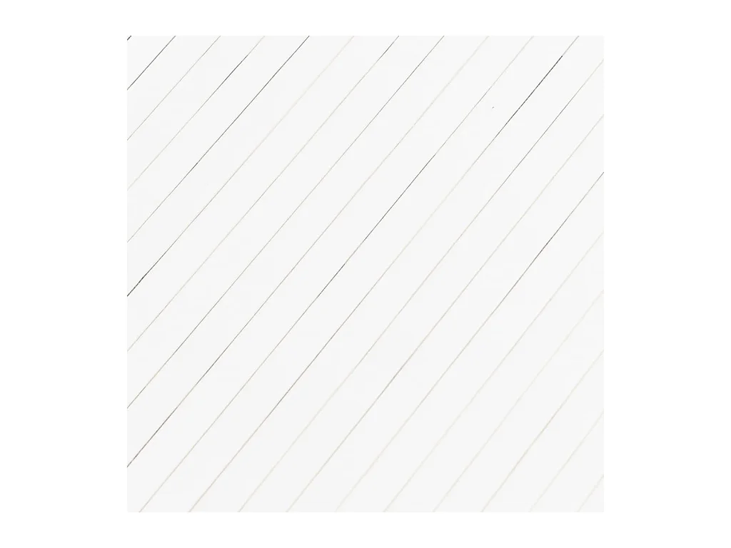 Cloison de séparation blanc 165x600 cm bambou