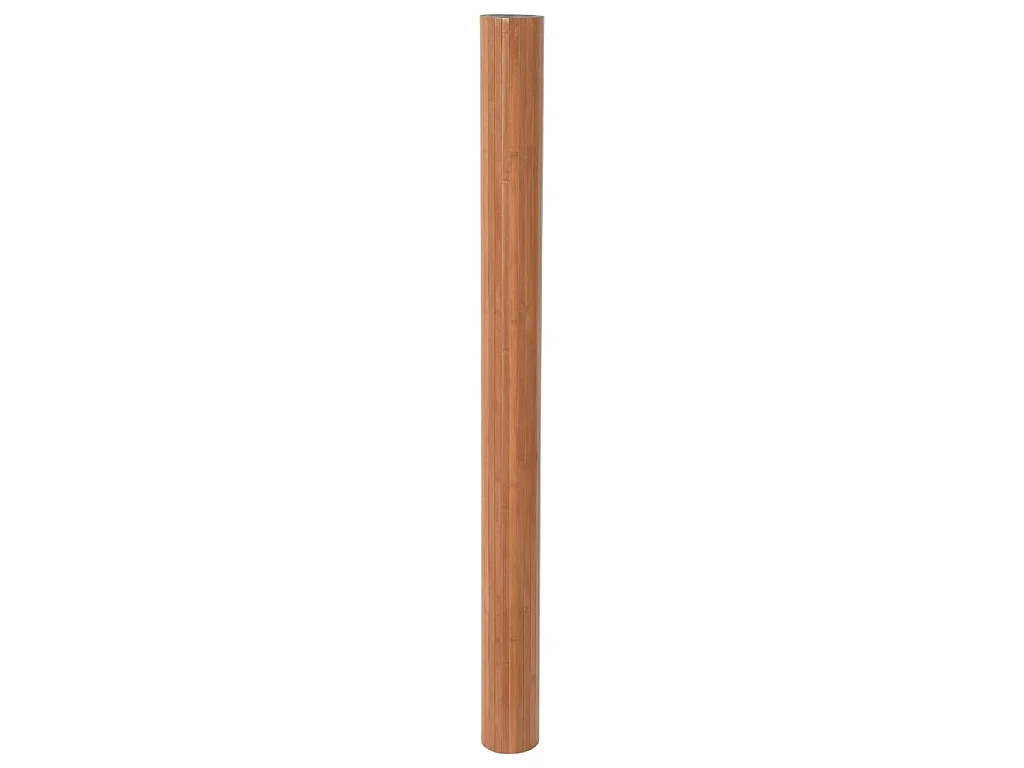 Cloison de séparation marron largeur 250 cm hauteur 165 cm bambou