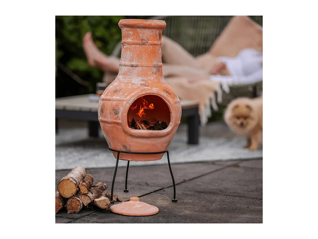Haard Star Flower klei strokleurig 86037