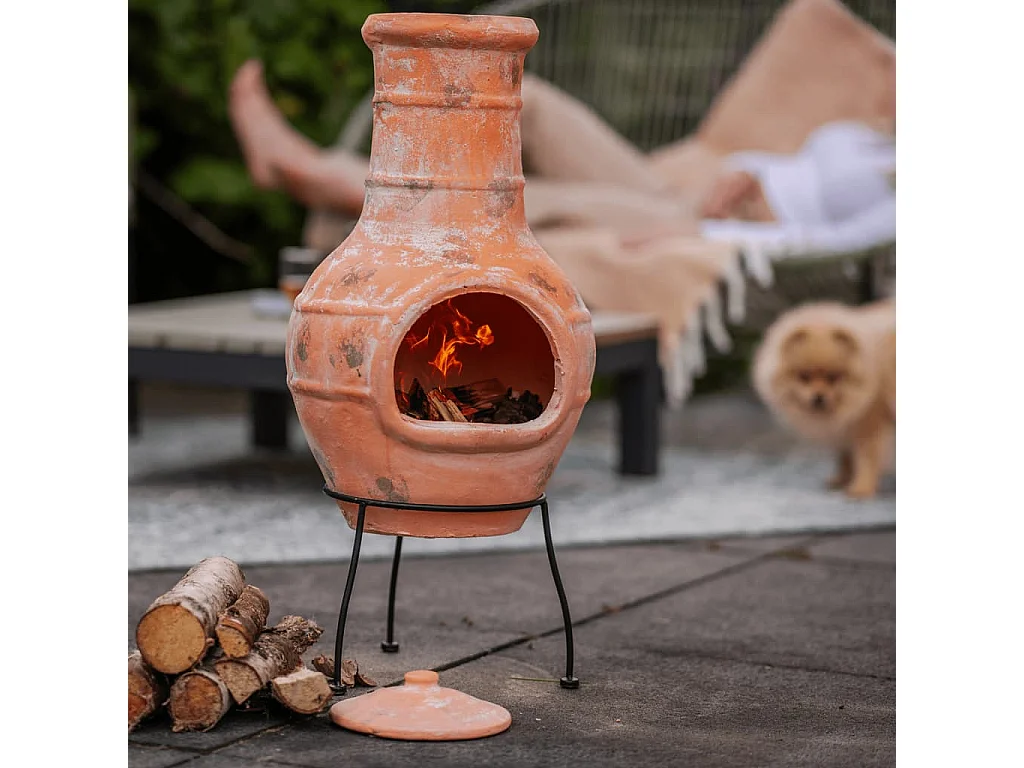 Haard Star Flower klei strokleurig 86037