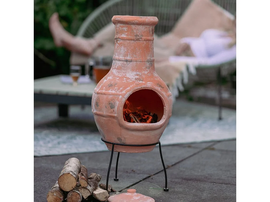 Haard Star Flower klei strokleurig 86037