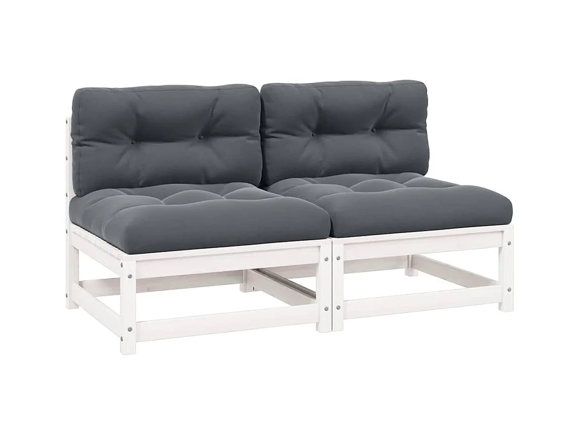 Tuinmiddenbanken 2 st met antraciete kussens massief grenenhout