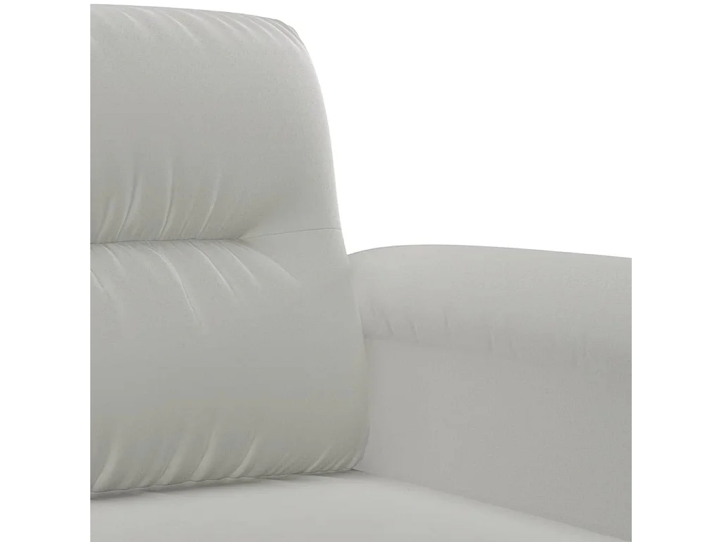 Ensemble de canapés 2 pcs coussins Gris clair Tissu microfibre