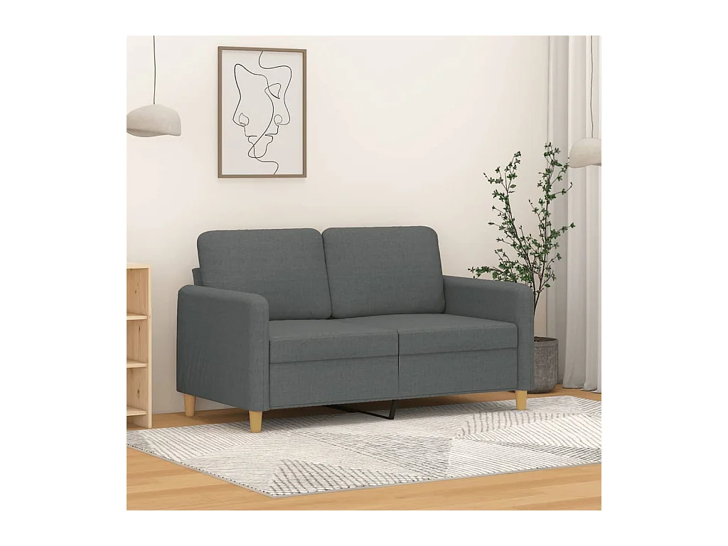 Canapé à 2 places Gris foncé 120 cm Tissu