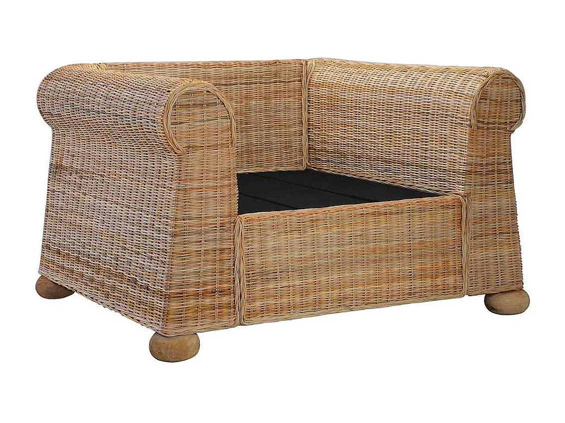 Ensemble de canapés avec coussins 2 pcs rotin naturel