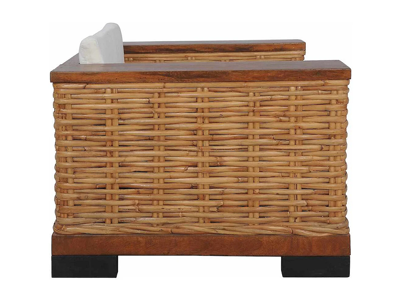 Ensemble de canapés 2 pcs avec coussins Marron Rotin naturel