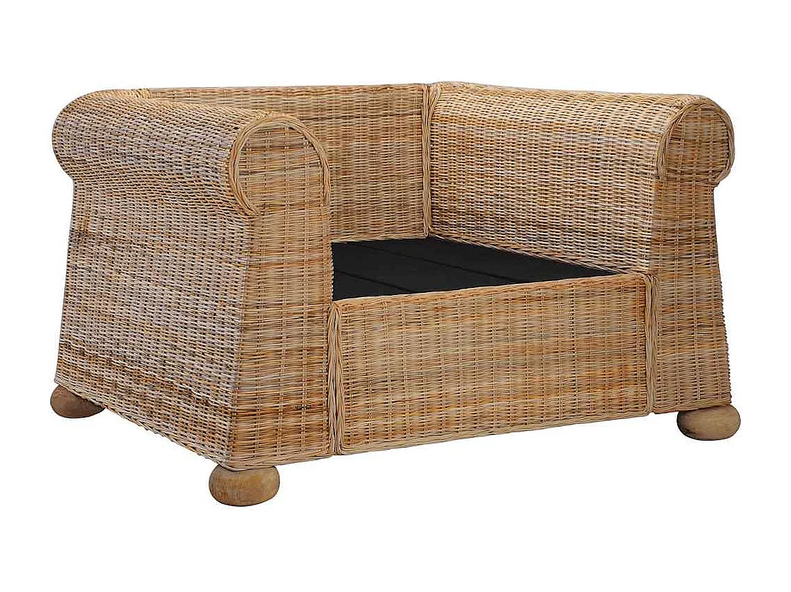 Ensemble de canapés 2 pcs avec coussins Rotin naturel